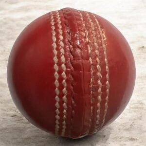 350gm Pace Enhancement Heavy Weight Training & Coaching Leather Cricket Ball (Pack of 1) HWTF-01